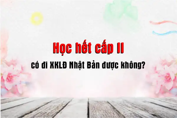 hoc-het-cap-2-co-di-nhat-duoc-khong