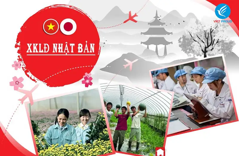 xuất khẩu lao đông nhật bản