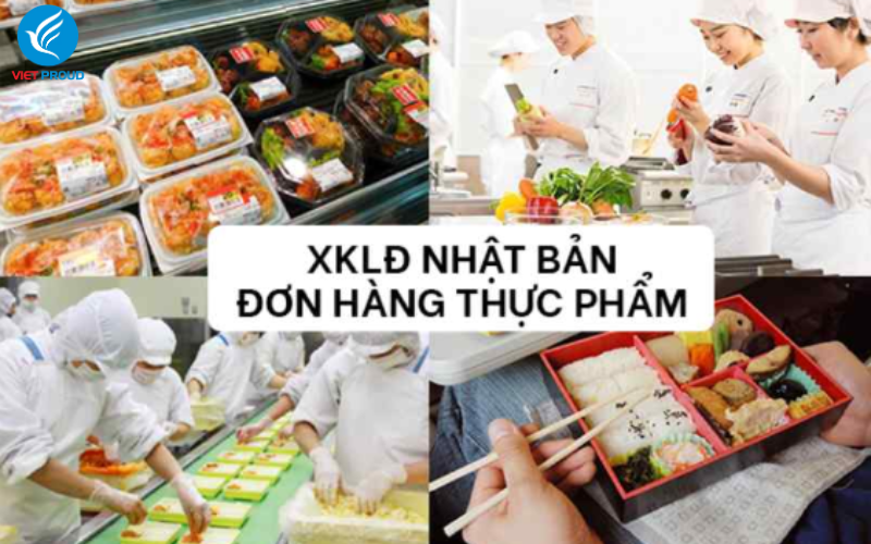 Đơn hàng thực phẩm Nhật Bản và những điều bạn nên biết